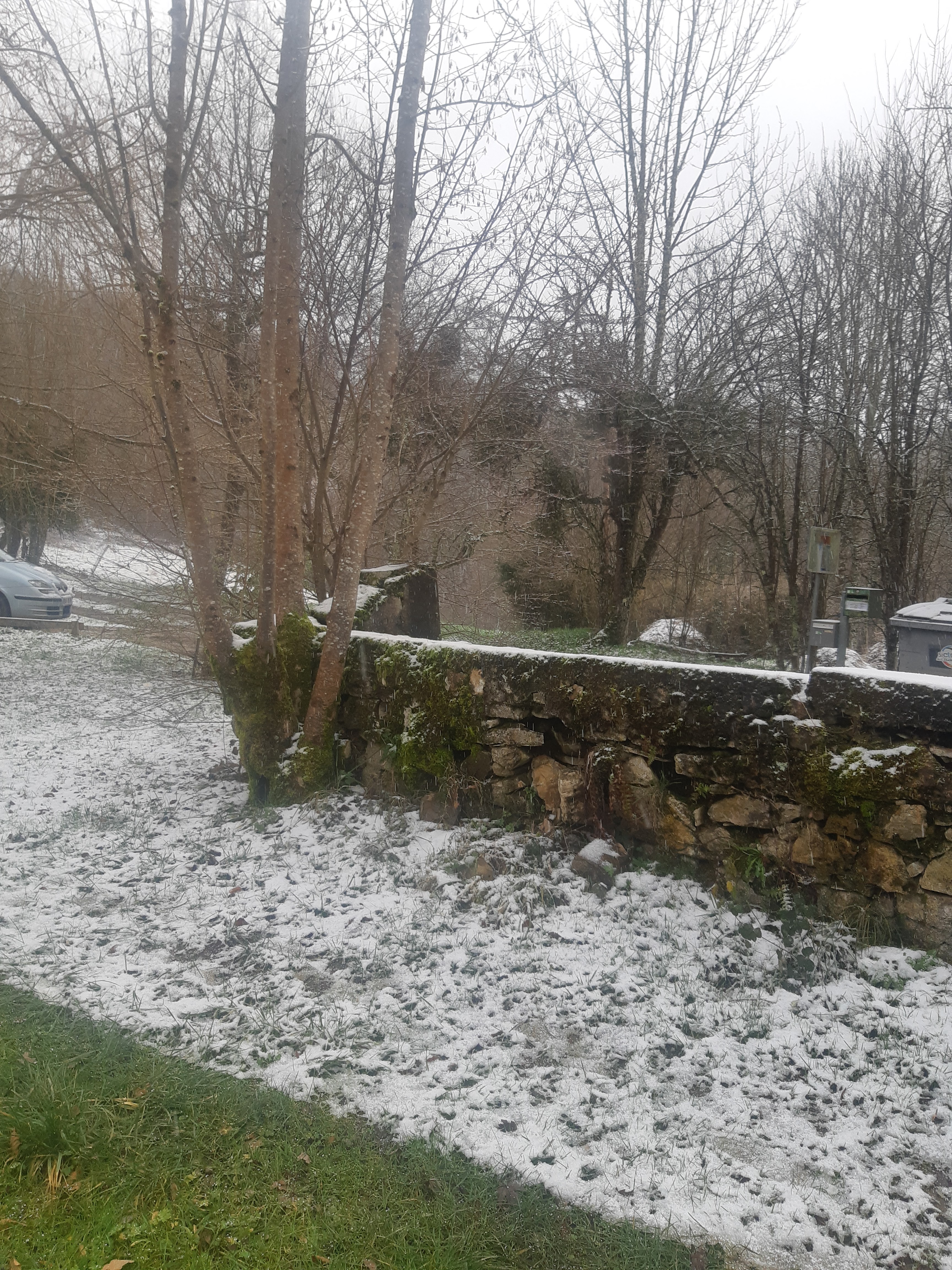 Photo n° 6 de l'avis de Mercedes.r fait le 25/12/2020 à 18:30