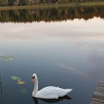 Photo n°8 de l'avis de Christina.r fait le 09/09/2020 à 20:48 sur le  Seehotel am Neuklostersee à Nakenstorf (bei Neukloster)