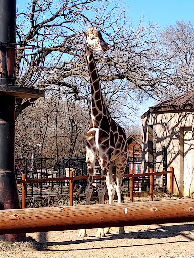 Amusement Park «Como Town», reviews and photos, 1301 Midway Pkwy, St Paul, MN 55103, USA