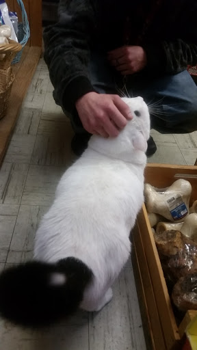 Pet Groomer «The Wagging Tail Pet Nutrition Center», reviews and photos, 337 U.S. 9, Cape May, NJ 08204, USA