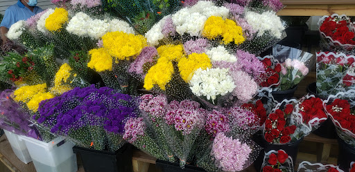 Produce Market «Produce Junction Inc», reviews and photos, 265 S Easton Rd, Glenside, PA 19038, USA