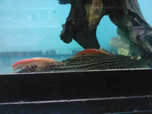 Book Store «Books-A-Million», reviews and photos, 3304 Crain Hwy, Waldorf, MD 20603, USA