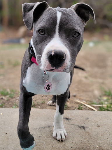 9595 Nelson Rd, Longmont, CO 80501, USA