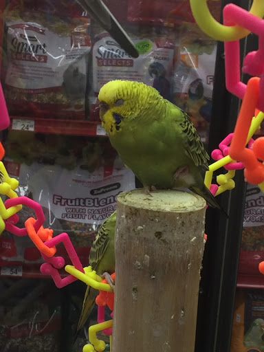 Pet Supply Store «Petco Animal Supplies», reviews and photos, 1425 N Montebello Blvd, Montebello, CA 90640, USA