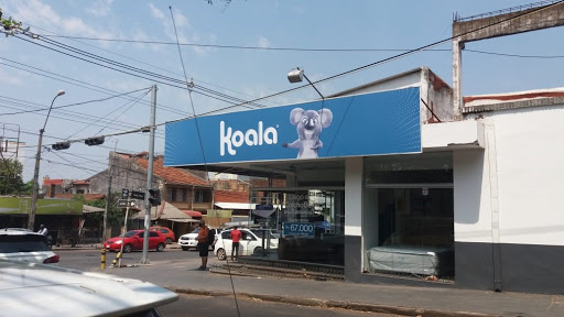 Koala Mercado 4