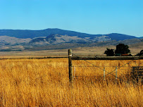 Isaac Financial Services Inc - Photo 2 - Car repair in Wichita, KS, Wichita