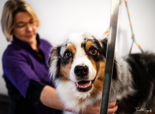 Sandra’s dog salon unter Böhl-Iggelheim, 