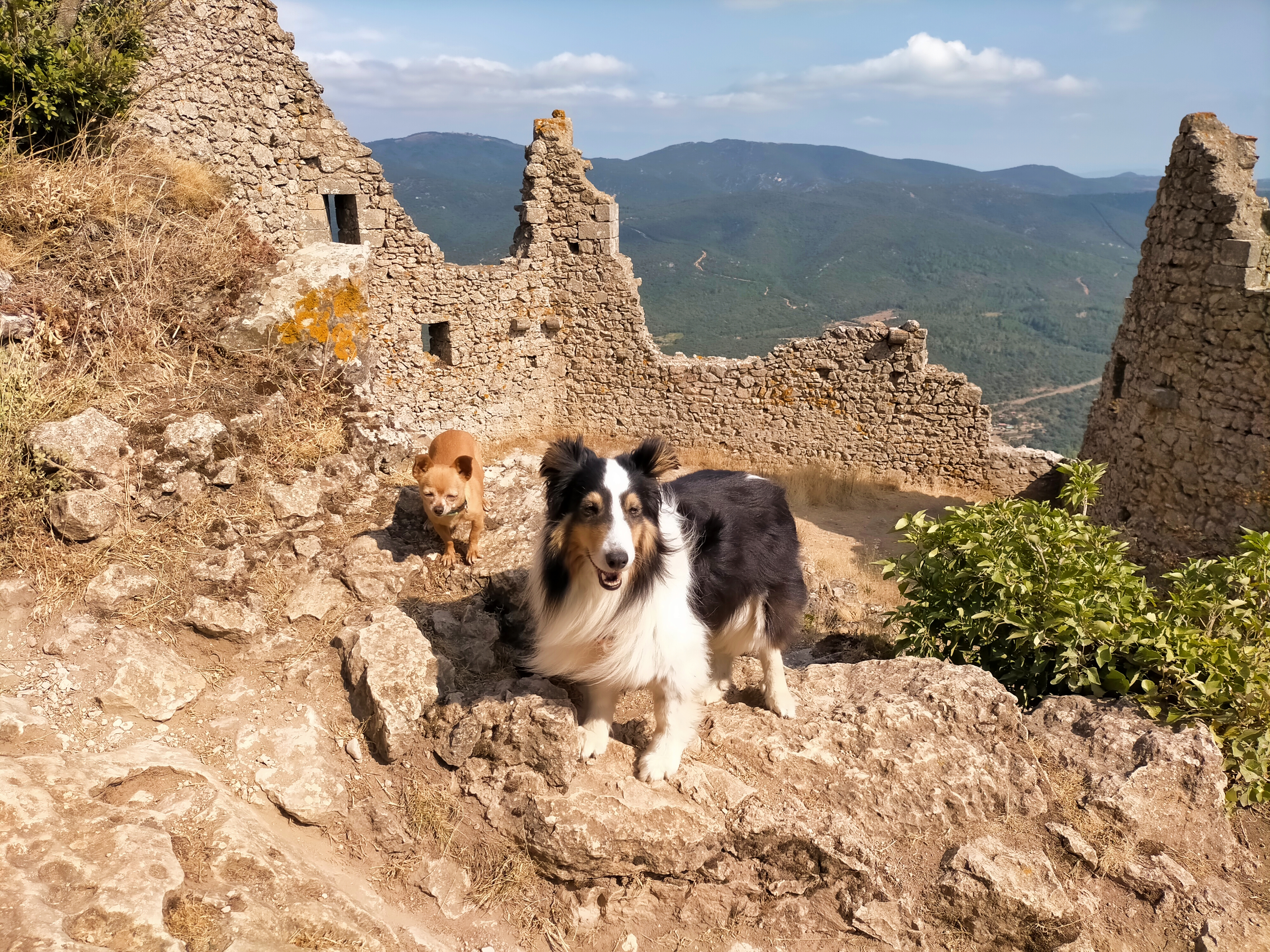 Photo n° 2 de l'avis de Nath.h fait le 18/08/2022 à 11:52