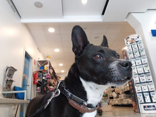 Centro Veterinario Las Columnas en Palma