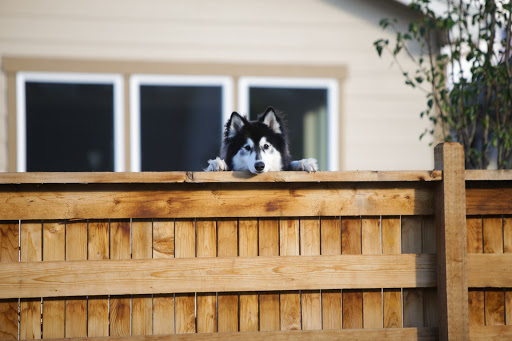 Fence Contractor «Split Rail Fence», reviews and photos, 8065 W Brandon Dr, Littleton, CO 80125, USA