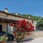 Photo n°11 de l'avis de Mario.a fait le 29/05/2023 à 13:05 sur le  Al Volto à Longare