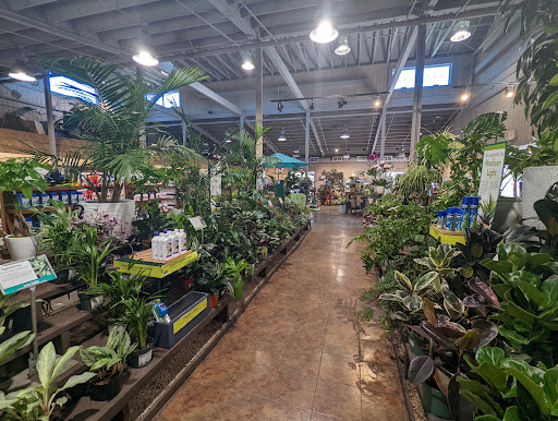 Armstrong Garden Centers - 8