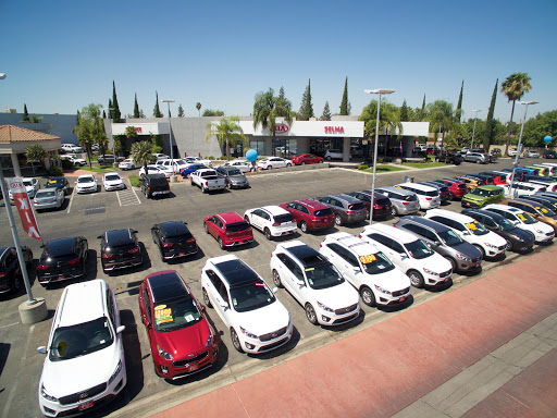 Selma Kia image