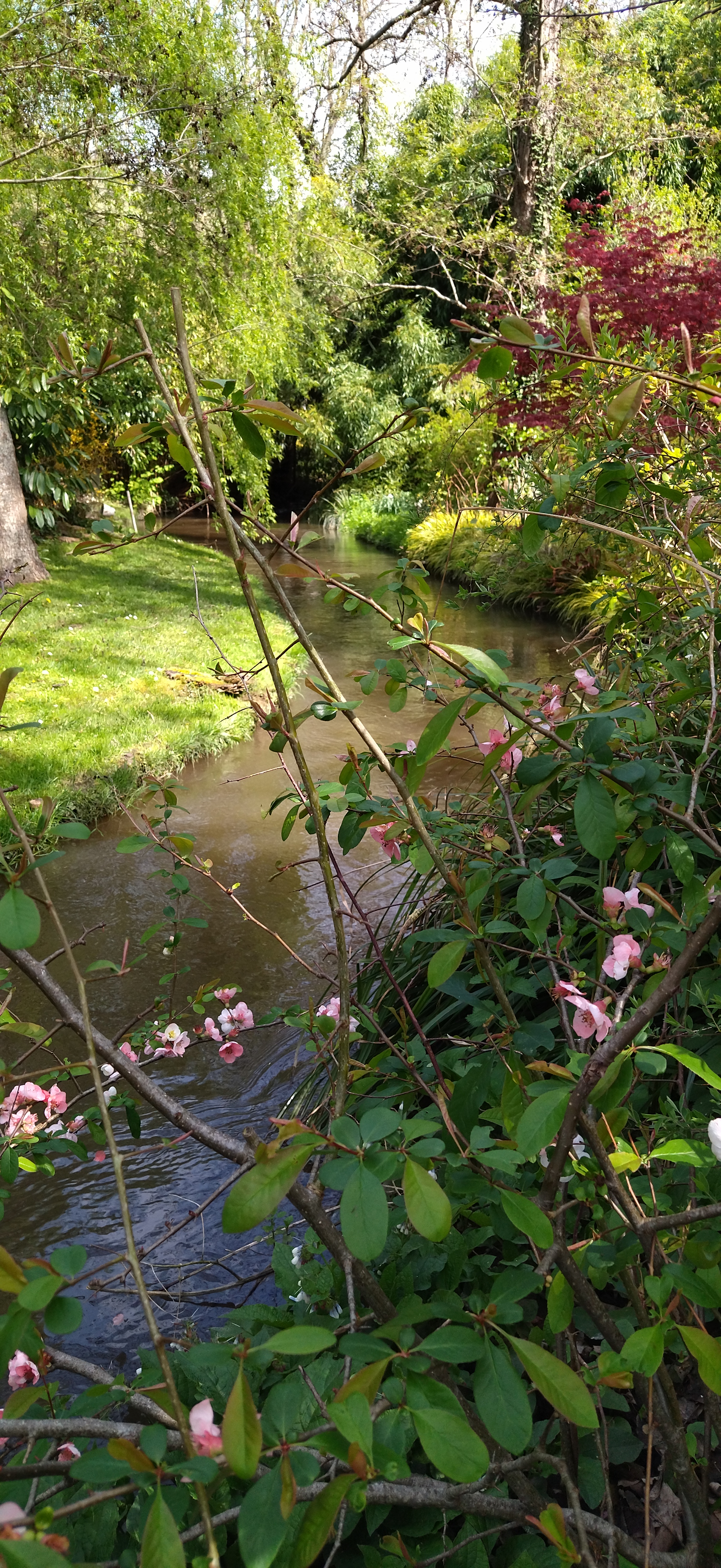 Photo n° 25 de l'avis de PHILIPPOT.a fait le 16/04/2023 à 17:54