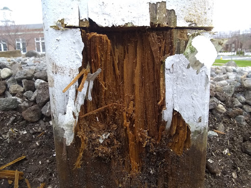 Florist «Colonial Flower Shoppe», reviews and photos, 611 Main St, Somers, CT 06071, USA