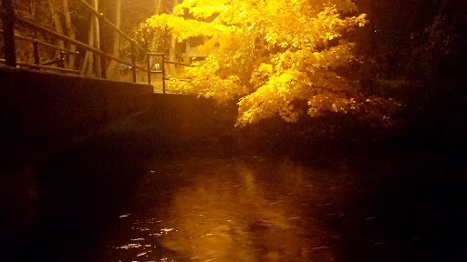 Auditorium «Fenton Community Center», reviews and photos, 150 S Leroy St, Fenton, MI 48430, USA