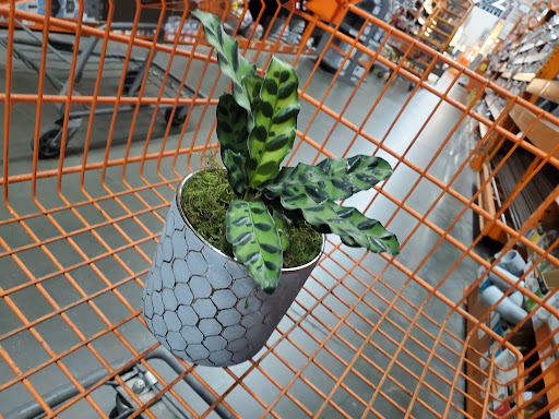 Home Improvement Store «The Home Depot», reviews and photos, 1551 Froom Ranch Way, San Luis Obispo, CA 93405, USA