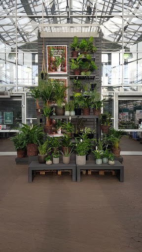 Butikker for å kjøpe utendørs planter Oslo