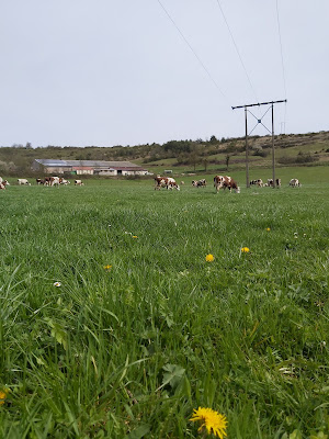 GAEC de la Source à Val-d'Épy