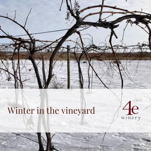Winery «4e Winery», reviews and photos, 3766 156th Ave SE, Mapleton, ND 58059, USA