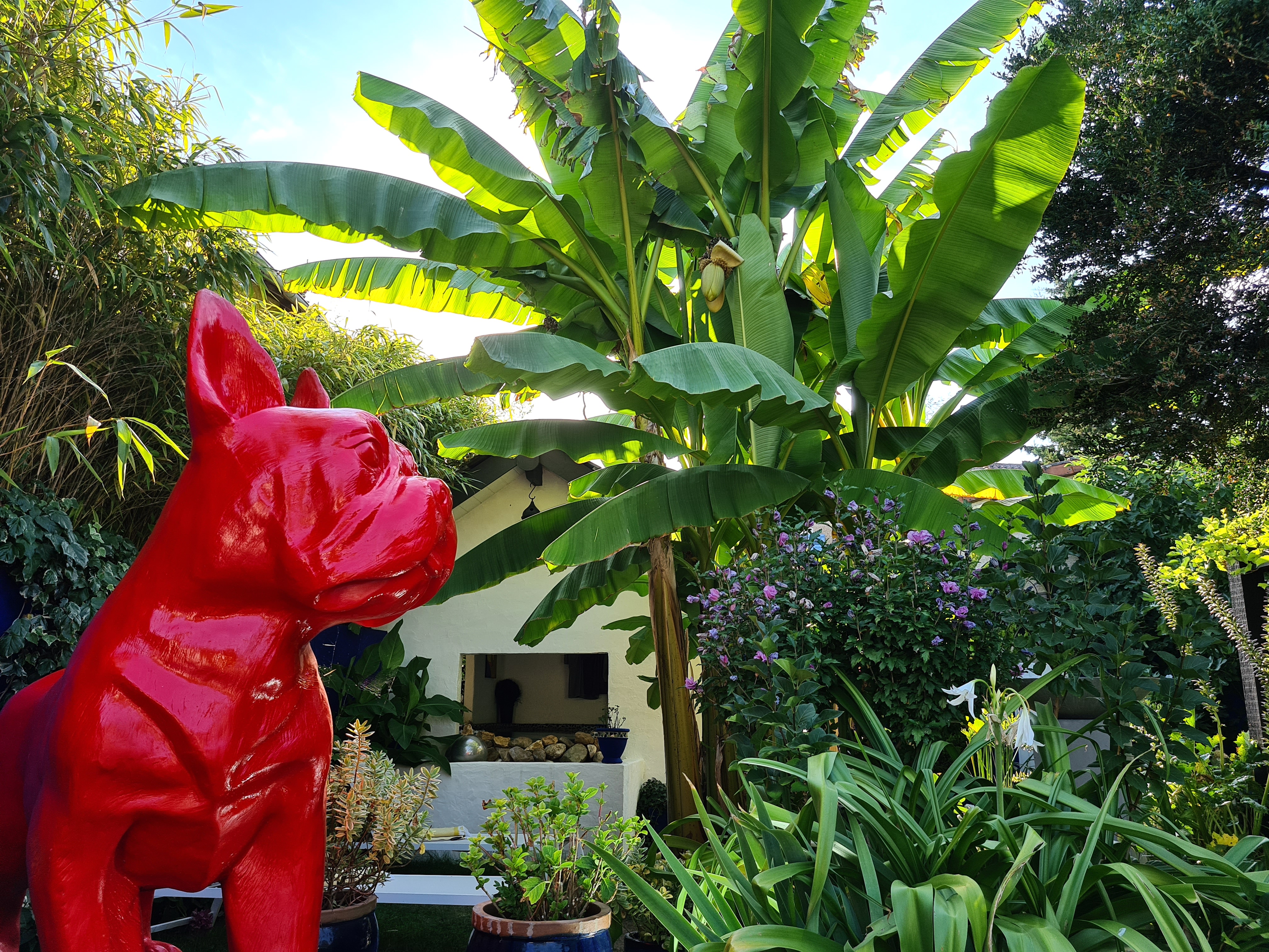 Photo n° 2 de l'avis de samuel.e fait le 22/07/2020 à 20:20