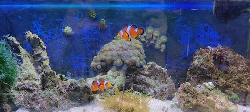 Pet Supply Store «Pickering Valley Feed & Farm Store», reviews and photos, 305 Gordon Dr, Exton, PA 19341, USA