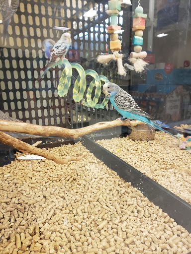Pet Supply Store «PetSmart», reviews and photos, 3081 S 5600 W, Salt Lake City, UT 84120, USA