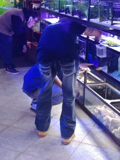 Pet Store «Total Aquariums», reviews and photos, 325 Sunrise Hwy, Lynbrook, NY 11563, USA