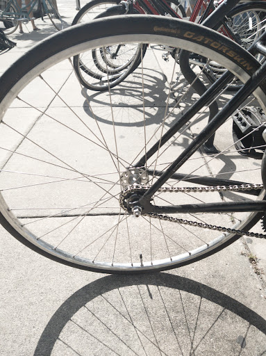 Bicycle Store «City Bike Tampa», reviews and photos, 208 E Cass St, Tampa, FL 33602, USA