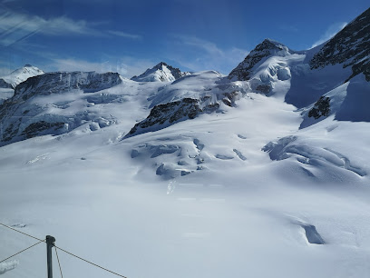 Jungfrau mit Eiger und Mönch-Aletschgletscher-Bietschhorn