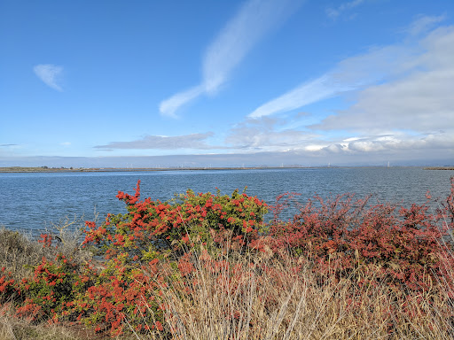 Recreation Center «Shoreline Lake Boathouse», reviews and photos, 3160 N Shoreline Blvd, Mountain View, CA 94043, USA