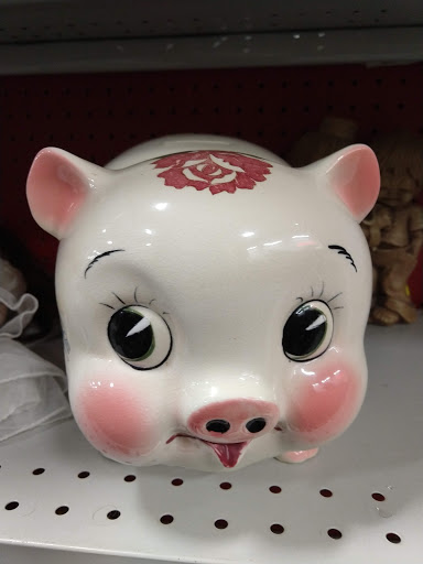 Thrift Store «The Salvation Army Family Store & Donation Center», reviews and photos, 823 E Auburn Rd, Rochester Hills, MI 48307, USA