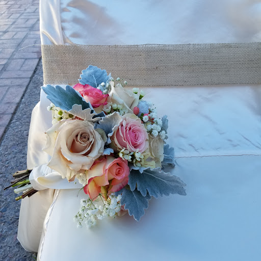 Cultural Center «ASU Kerr Cultural Center», reviews and photos, 6110 N Scottsdale Rd, Scottsdale, AZ 85253, USA