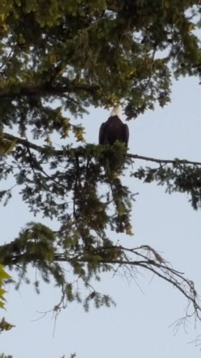 Youth Organization «Bremerton Family YMCA», reviews and photos, 2261 Homer Jones Dr, Bremerton, WA 98310, USA