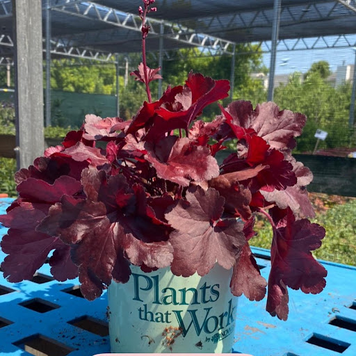 Landscaping Supply Store «Kirkwood Gardens», reviews and photos, 2701 Barrett Station Rd, Ballwin, MO 63021, USA