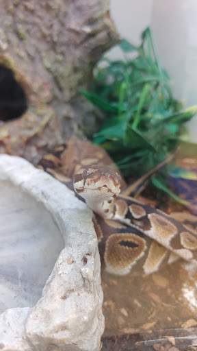 Pet Supply Store «Pet Supplies Plus», reviews and photos, 1439 W Main St, Salem, VA 24153, USA