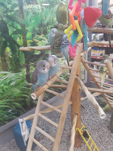 Pet Supply Store «Petco Animal Supplies», reviews and photos, 4820 South Baldwin Road #3B, Orion Township, MI 48359, USA