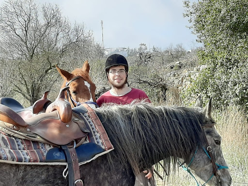 חוות הסוסים בית אל Beit El Horse farm