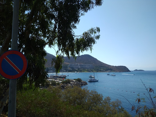 Ptt-Akyarlar Şubesi