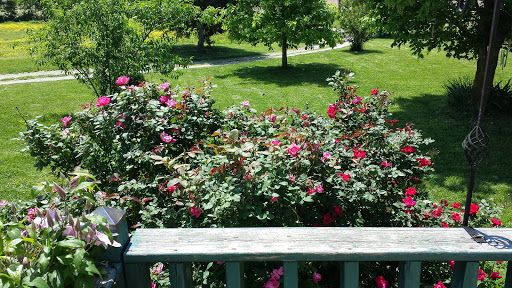 Tourist Attraction «Copper Canyon Ranch LLC», reviews and photos, 14750 Ovil Rd, Hopkinsville, KY 42240, USA