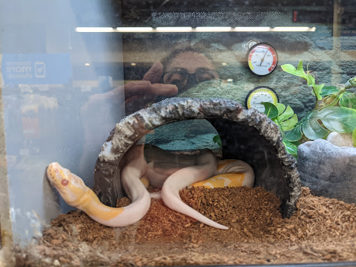 Pet Supply Store «Petco Animal Supplies», reviews and photos, 1150 Concord Ave #160, Concord, CA 94520, USA