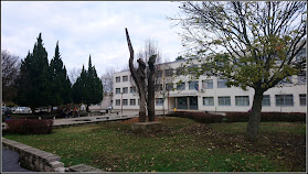 Nyíregyházi Móra Ferenc Általános iskola
