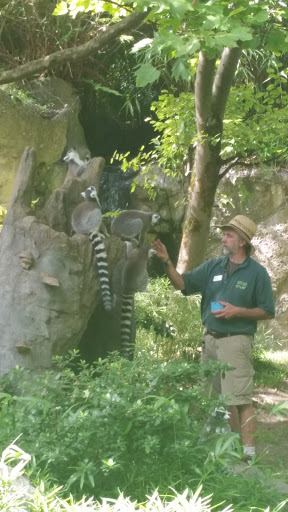 Zoo «Zoomazium», reviews and photos, 601 N 59th St, Seattle, WA 98103, USA