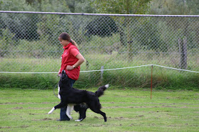 All Dogcenter Dominique Standaert