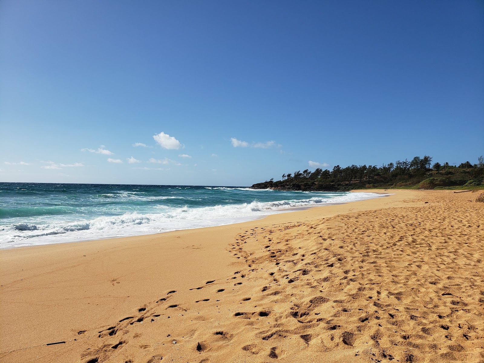 Photo de Paliku Beach situé dans une zone naturelle