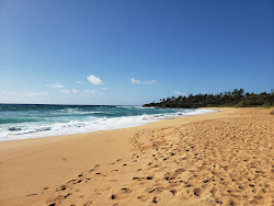 Photo de Paliku Beach situé dans une zone naturelle