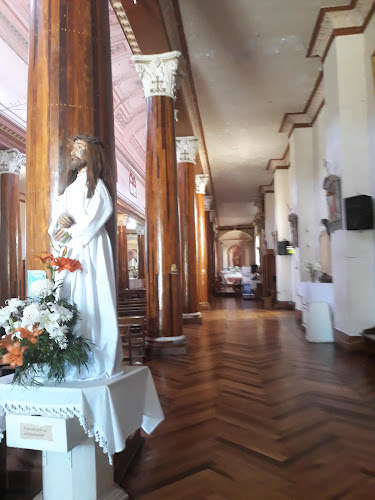 Iglesia de Inmaculada Concepción - Vicuña