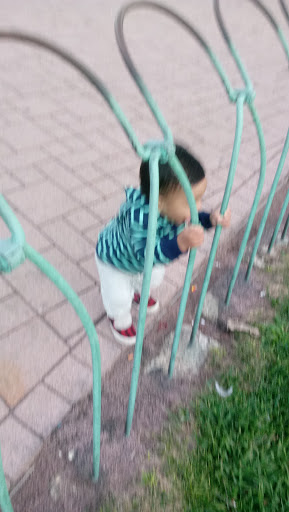 Fountain «Buckingham Fountain», reviews and photos, 301 S Columbus Dr, Chicago, IL 60605, USA