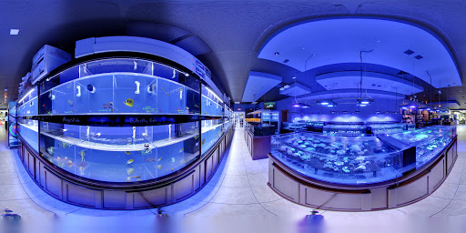 Tropical Fish Store «Living Reef Orlando», reviews and photos, 504 N Alafaya Trail #112, Orlando, FL 32828, USA