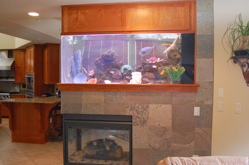 Tropical Fish Store «America Aquaria», reviews and photos, 3485 N 124th St, Brookfield, WI 53005, USA